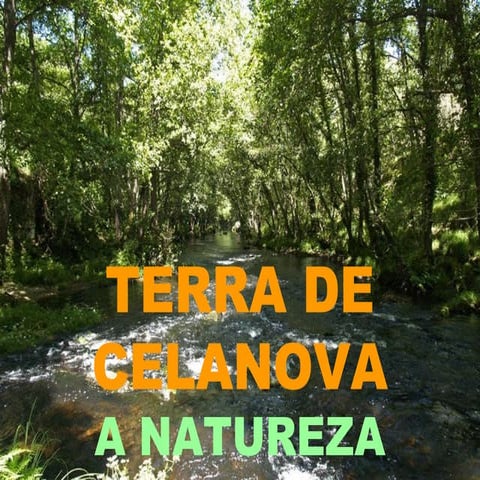 Comarca Terra de Celanova
