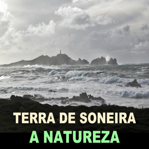 Comarca Terra de Soneira