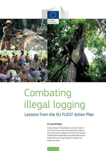 Combating illegal logging   lessons from the eu flegt action plan
