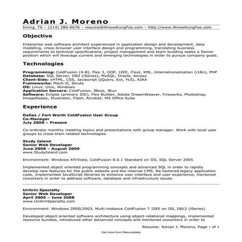 Combination executive application developer resume