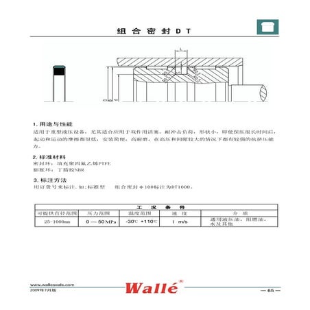 Combination seal DT | PDF