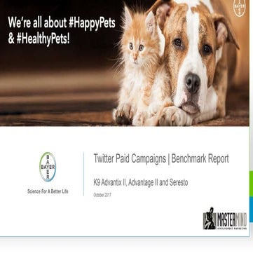 Social Media Analytics Report