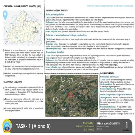 URBAN MANAGEMENT PROJECT :A CASE OF BEOHARI DISTRICT SHAHDOL, M.P. | PDF