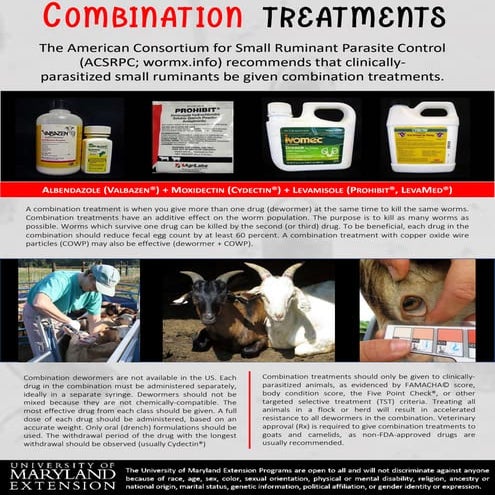 Combination Treatments