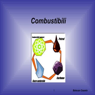 Prezentare chimie Bolocan Cosmin