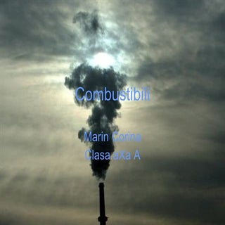 Prezentare chimie Corina