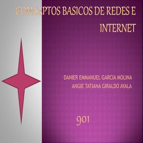 Conceptos basicos de redes e internet