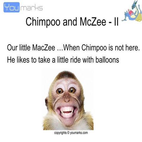 Mczee explains Conservation of Linear Momentum