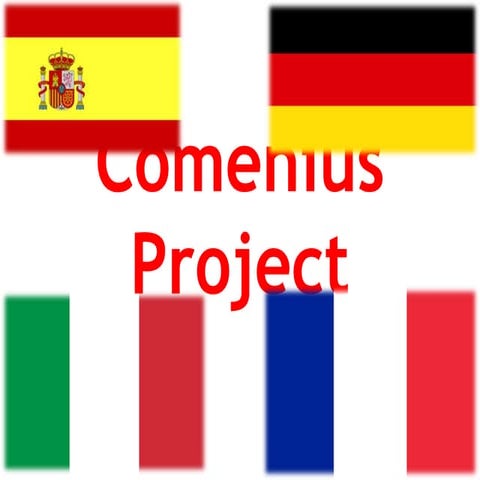 Comenius project