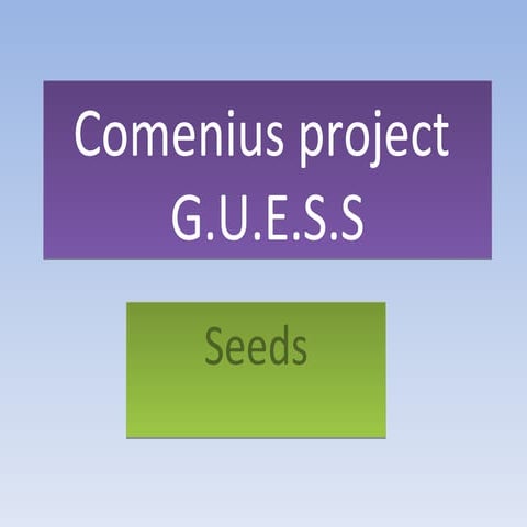 Comenius project   semínka