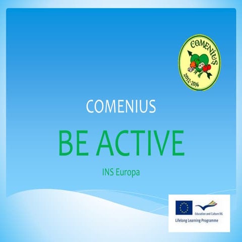 Comenius sport