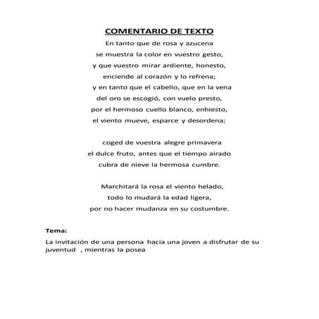 Comentario de texto