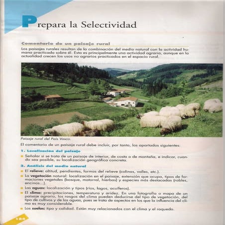 Comentario de un paisaje rural