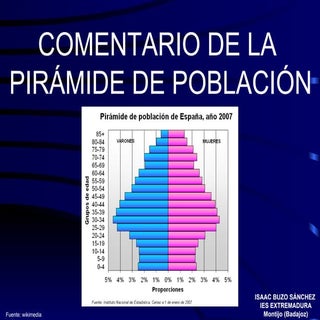 Comentario pirámide de población