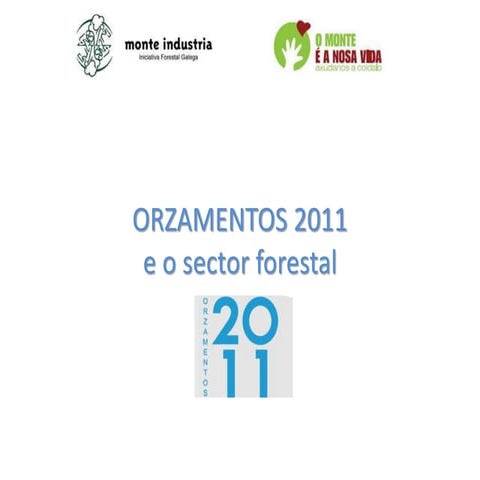 Comentarios ós orzamentos 2011