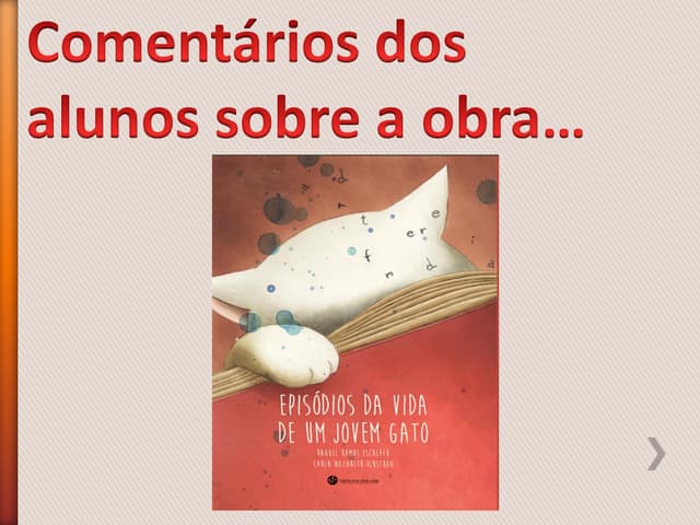 Comentários dos alunos sobre a obra