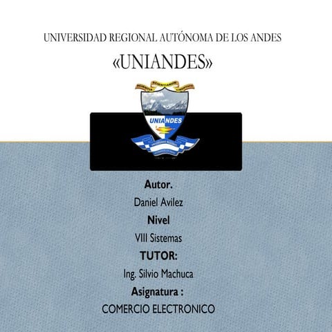 Comercio electronico