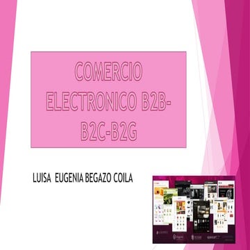 Comercio electronico b2 b b2c-b2g