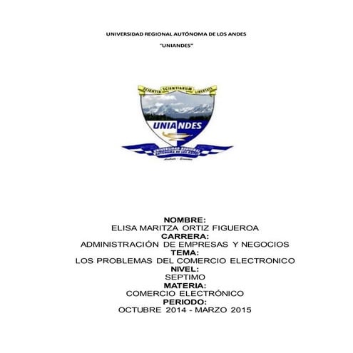 problemas del Comercio electronico 