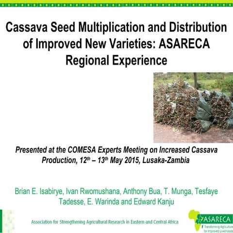 Cassava Seed Multiplication and Distribution of Improved New Varieties: ASARE...