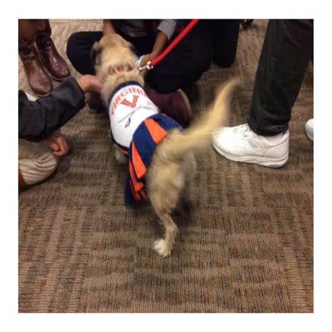 5 Cs Comfort Break 2014