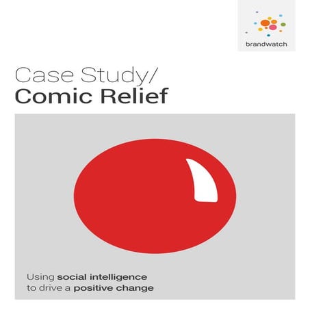 Case Study: Comic relief 
