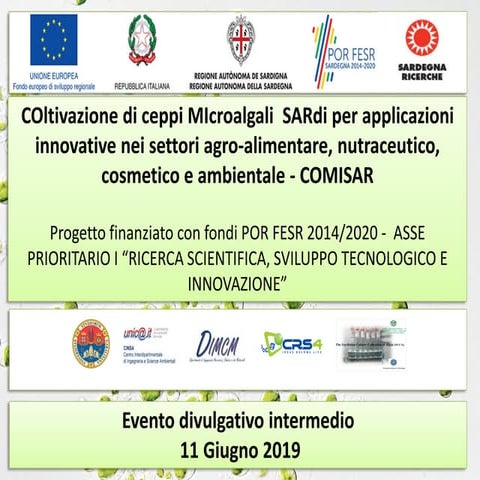 Progetto COMISAR - Evento divulgativo intermedio dell'11 giugno19 | PDF