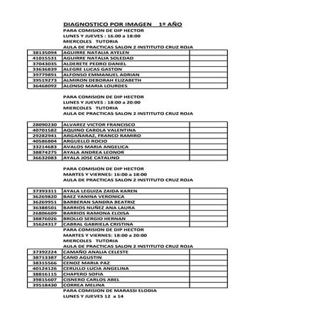 Comisiones  practica profesional i 2016