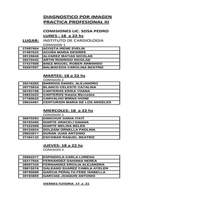 Comisiones  practica profesional iii 2016