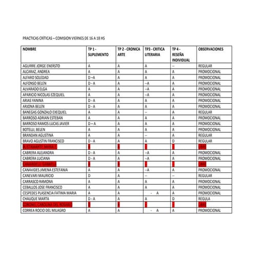 Comision viernes 2013 final - ÁREA PRÁCTICA