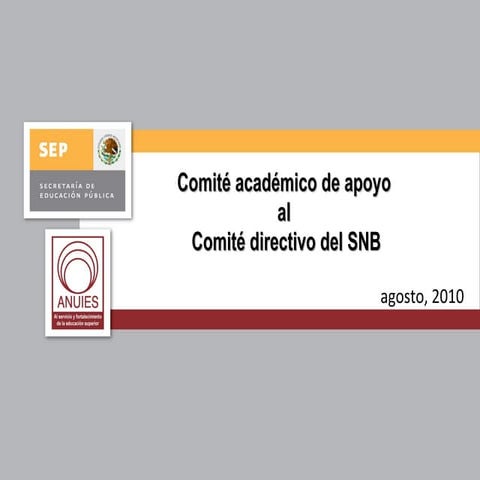Comité académico de apoyo al Comité directivo del SNB