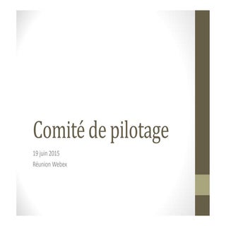 Comité de pilotage 19 juin