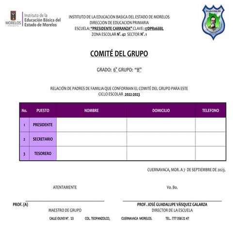 COMITE DE GRUPO.doc