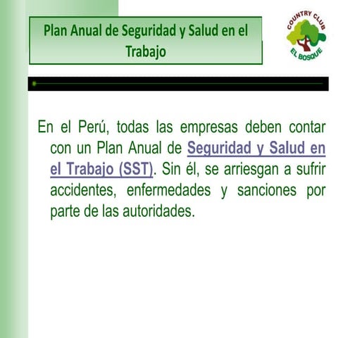 Plan y Programa Anual de Seguridad y Salud en el Trabajo | PDF