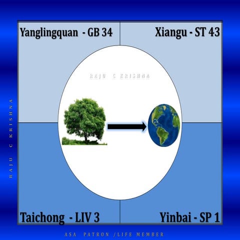 Command point groups | PPSX