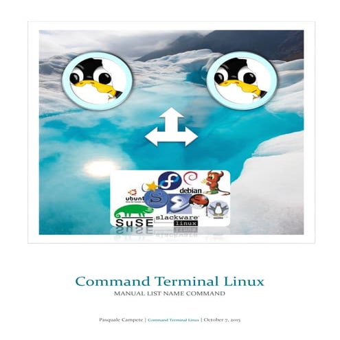 Command Terminal Linux | PDF
