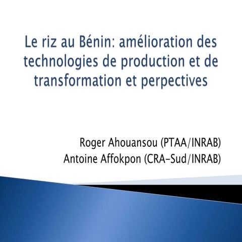 Le riz au Bénin: amélioration des technologies de production et de transforma...