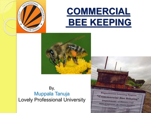 Bee keeping equipments | PPT | Beekeeping | Hobbies & Interests