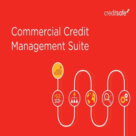 The Creditsafe Commercial Credit Management Suite | PDF