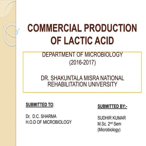 Commercial production of lactic acid