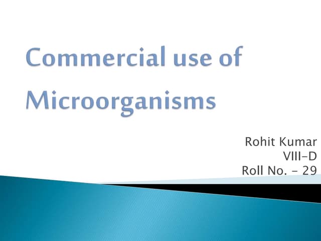 Commercial Use Of Microorganisms PPT commercial-use-of-microorganisms-ppt