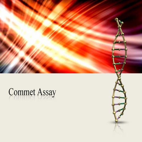 Commet Assay