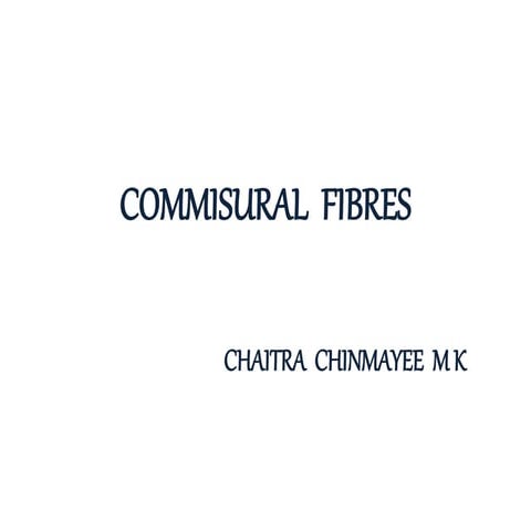 Commissural fibres
