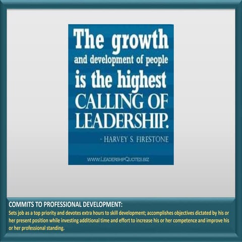 Competency Snapshot: Commits to professional development