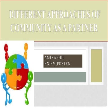 Approaches of community health nursing | PPTX