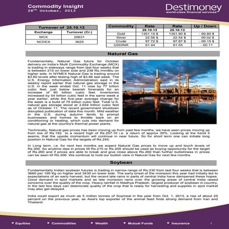 Commodity Insight 28.10.13(NG,Soybean)