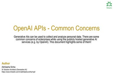 Common - Concerns Around OpenAI.pptx