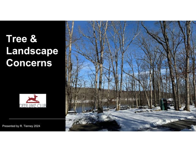 Common Area Tree Issues            v1.pdf