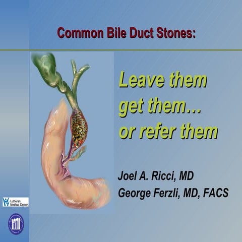 Common Bile Duct Stones: Leave Them Get Them or Refer Them
