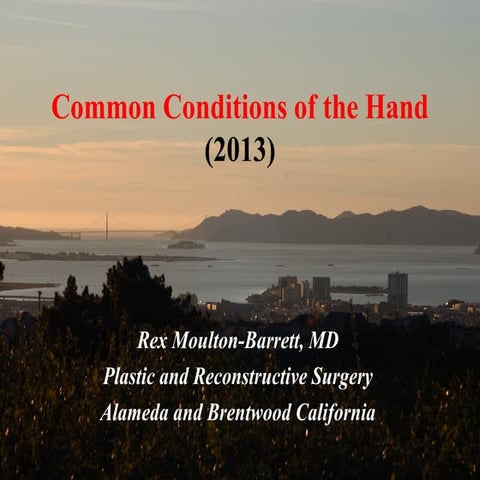 Common conditions of the hand (2013)